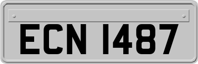ECN1487
