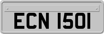 ECN1501