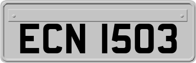 ECN1503
