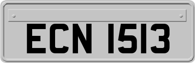 ECN1513