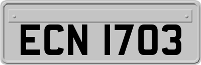 ECN1703