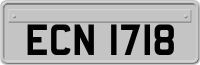 ECN1718