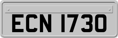 ECN1730