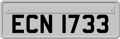 ECN1733