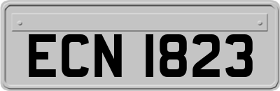 ECN1823