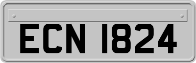 ECN1824