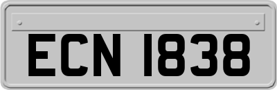 ECN1838