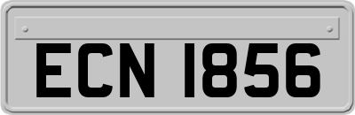 ECN1856