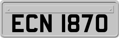 ECN1870