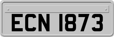 ECN1873