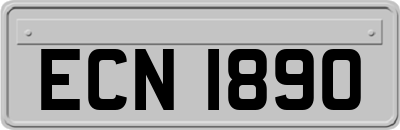 ECN1890