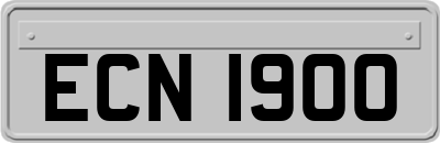 ECN1900