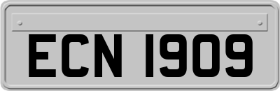 ECN1909