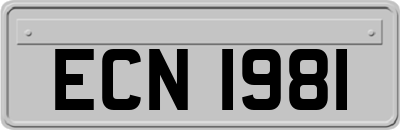 ECN1981