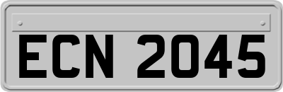 ECN2045