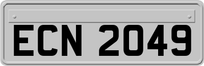 ECN2049