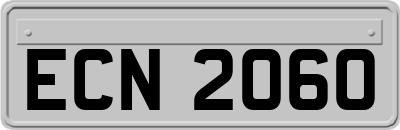 ECN2060