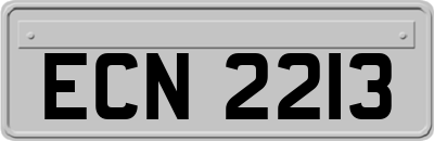 ECN2213