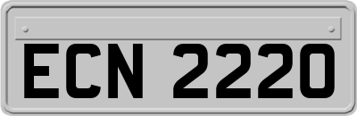 ECN2220