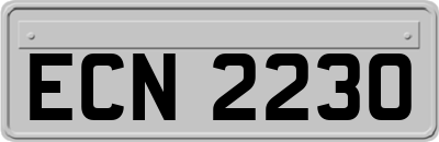ECN2230