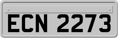 ECN2273