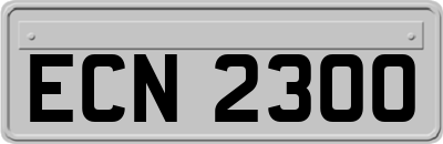 ECN2300