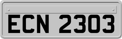 ECN2303