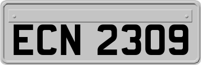 ECN2309
