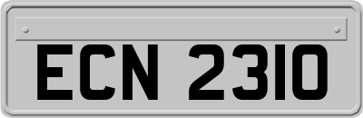 ECN2310