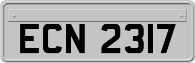 ECN2317