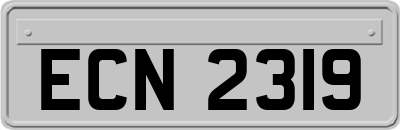 ECN2319