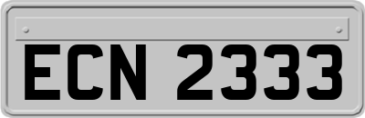 ECN2333