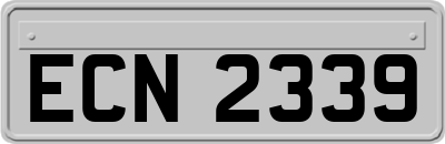 ECN2339