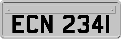 ECN2341