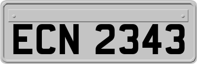 ECN2343