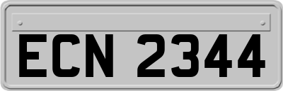 ECN2344