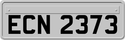 ECN2373