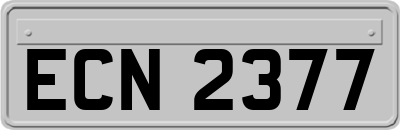 ECN2377