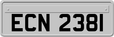 ECN2381