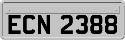 ECN2388