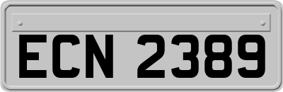 ECN2389