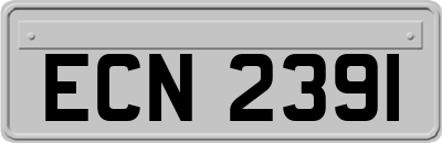 ECN2391