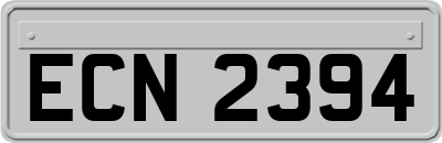 ECN2394