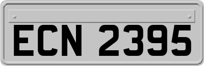 ECN2395