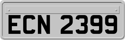ECN2399