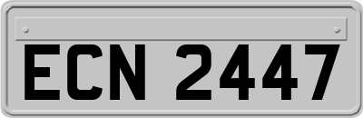 ECN2447