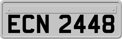 ECN2448
