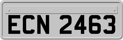 ECN2463