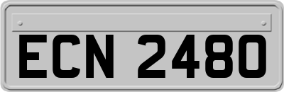 ECN2480