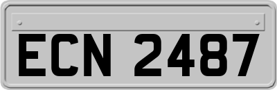 ECN2487